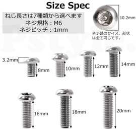 Pstyle. Tamper-Proof Screws, Bolts, 304 Stainless Steel, M6, 20-Piece Set, PST-140 (M6x10mm)