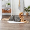 Bone Dry Toalla de microfibra bordada para mascota