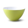 Zeal G217L Salad Bowl, Lime