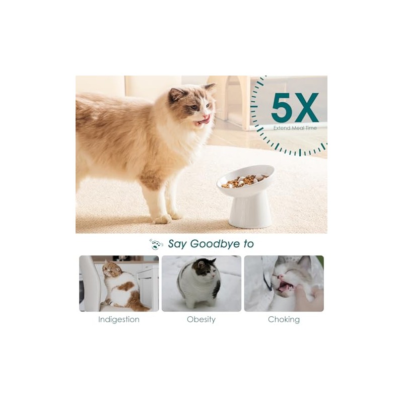 vancasso Ceramic Slow Feeder Cat Bowl, 6.25 Inch Elevated Cat