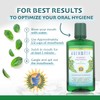 Auromere Ayurvedic Mouthwash - Vegan, Fluoride Free, Alcohol Free, Natural,