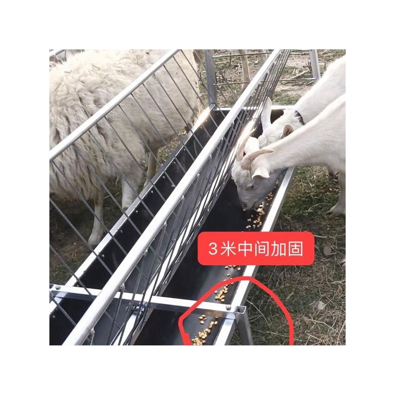 염소 먹이통 2M 동물 농장 축산 소먹이 가축 야외 송아지