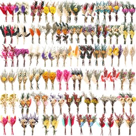 100 Pcs Mini Dried Flower Bouquets Natural Baby Breaths Gypsophila Rabbit's Tail Eucalyptus Leaves 50 Varieties 2 Stems Floral Plant for DIY Crafts Kit Home Decor Wedding Baby Shower Favors