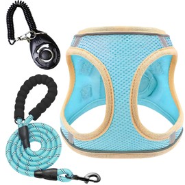 3Pcs Dog Harness and Leash Set, Mesh Pet Vest Set with Lead Clicker for Walking Training Daily