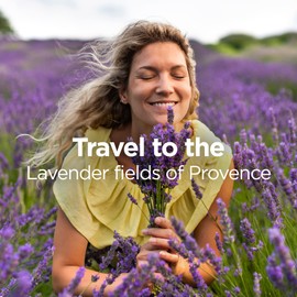 Botanica by Air Wick Plug in Scented Oil Refill, 2 Refills, French Lavender and Honey Blossom, Air Freshener, Essential Oils