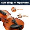 Mendini by Cecilio Violin 4/4 Full Size Kit For Beginners