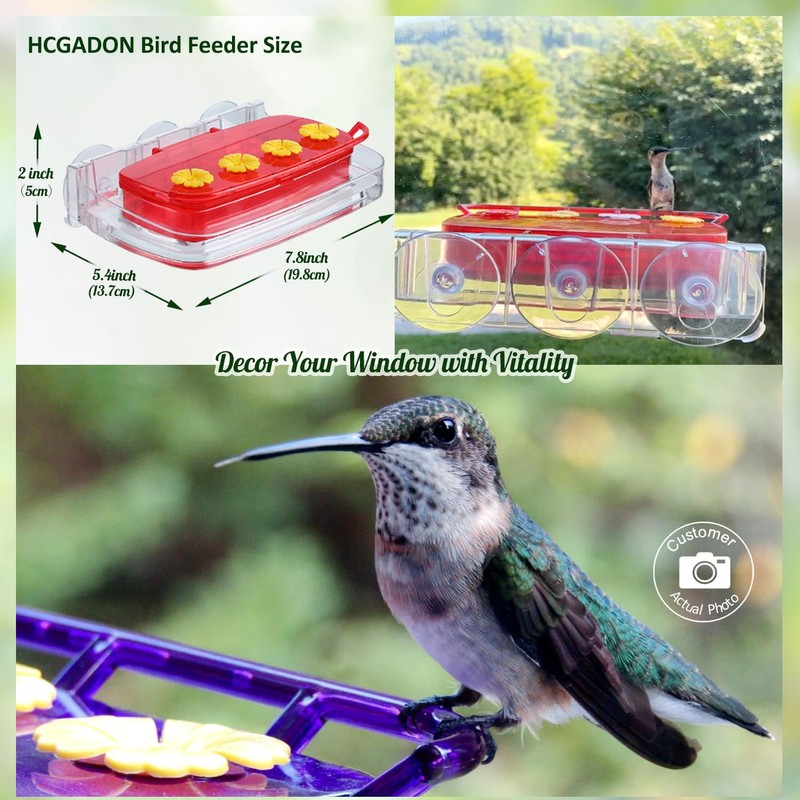 HCGADON Window Hummingbird Feeder with Strong Suction Cup, Plastic Hummingbird