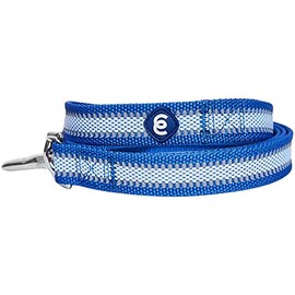 Blueberry Pet Essentials Reflective Back to Basics Dog Leash, Navy Blue, 4 ft x 1", Large, Leashes for Dogs