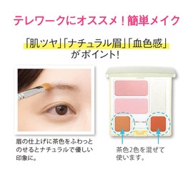 [? Chain reiko] Basic Kit (Blush, Eye Shadow, Highlight)