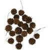 Daichi Farm DO024320-000 Dried Flowers, Amber Balm, Natural (Pack of