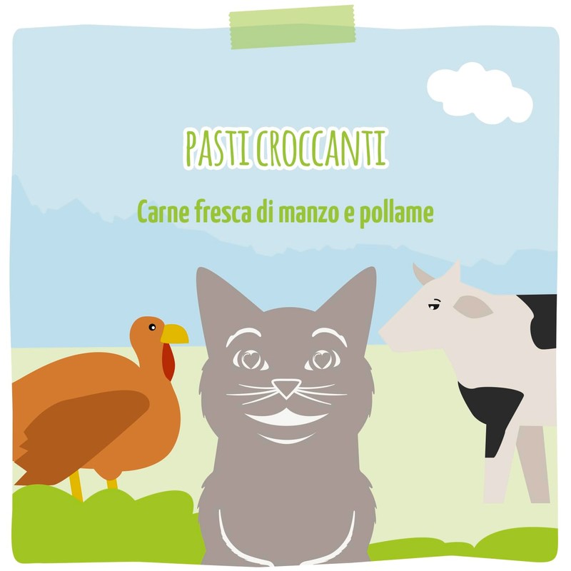 MjAMjAM - Crocchette premium per gatti - Pasti croccanti -