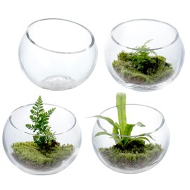 MyGift Premium Hotel Series 5 Inch Round Clear Glass Air Plant Terrariums, Mini Candy Bowl Jars, Tealight Candle Holders, Succulent Cactus Vases, Set of 4