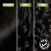 Garnier Hair Color Nutrisse Ultra Coverage Nourishing Hair Color Creme,