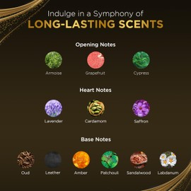 RAYAN Modern Oud Perfume for Men - Long Lasting Arabian Eau De Parfum, 100mL (3.34 Fl oz), Men Perfume with Oud, Sandalwood, Grapefruit, Cardamom & Lavender, Ideal Gift for Father's Day