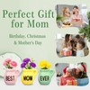 Mom Gifts from Daughters, Mini Vase Magnets for Fridge,Best Mom