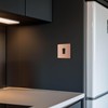 BG Electrical Single Wall Switch with LED Power Indicator, Double