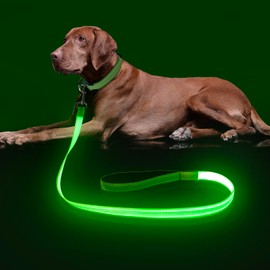 Colaseeme LED Dog Lead Green with 3 Reflective Wires
