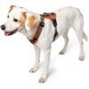 Hunter Maldon Y-Shape Soft Padded Harness for Sports, XS