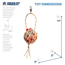 Prevue Pet Products Treat Basket - Playfuls Forage & Engage Bird Toy 60242