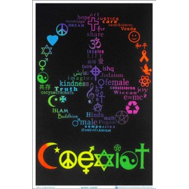 Coexist Zen Blacklight Poster - Flocked - 23" x 35"