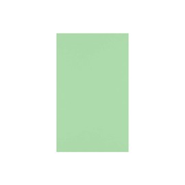 LUXPaper 8.5" x 14" Paper | Legal Size | Pastel Green | 60lb. Text | 50 Qty
