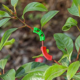 Plant Bender, Plant Training Clips, 100 PCS Lst Clips for Low Stress Training Plant Stem Support, Trellis Clamps for Climbing Plants Garden Plant Grow Tools (Red. Green)