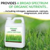 Organic Liquid Lawn & Turf Food - Quickly Rejuvenates Lawn
