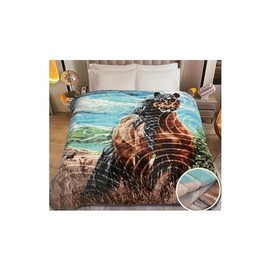Soft Blanket Queen Size 76” x 82” Fleece Embossed Blanket - 1 Ply Reversible Silky Soft Plush Warm Blanket for Winter All Seasons Home Bedding (Horse/Caballo)