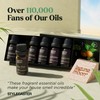 Lagunamoon Essential Oils Set - Top 6 Blends for Diffusers,