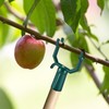 Fruit Tree Branch Support,Metal Tree Support | Alloy Straightening Fruits