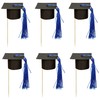 Gyufise 24Pcs 3D 2025 Graduation Cap Cupcake Toppers DIY 2025