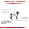 ROYAL CANIN ROYAL CANIN Gastro Intestinal Puppy Dog (GIJ 29)