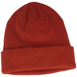 Breiter Knitted Winter Hat Beanie with Soft Thinsulate Lining - One Size, earth