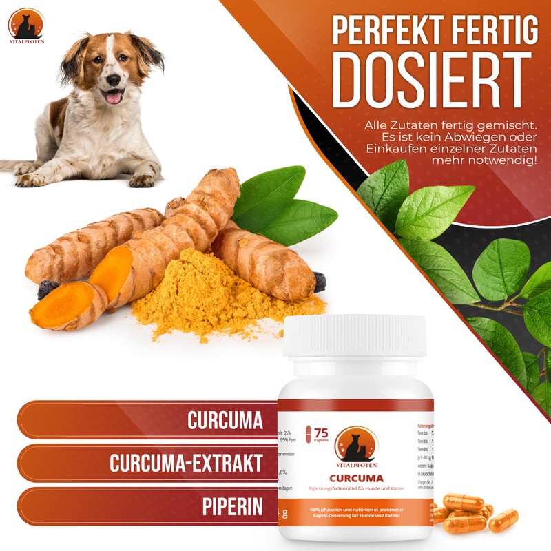 Vitalpfoten 3 x 75 Capsules Curcuma for Dogs and Cats