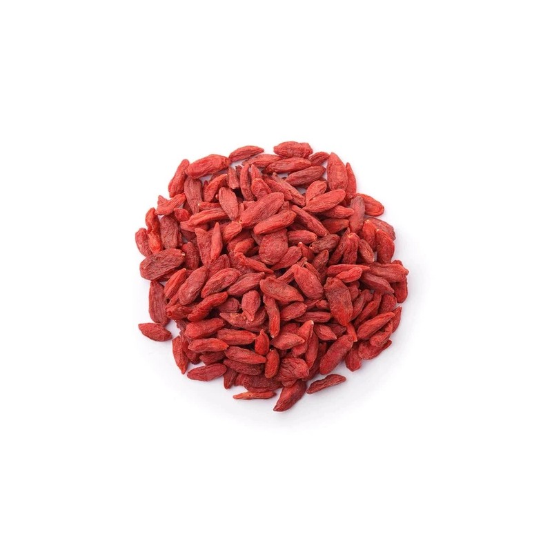 Goji Berry Cuttings With Pot Live Goji Berry Plant With