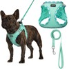 AMTOR Small Dog Harness with Leash Set, No Escape Easy
