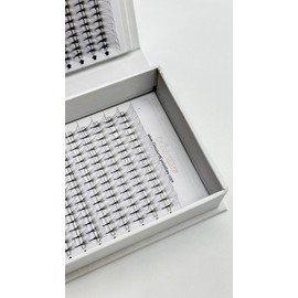 Alluring 8D Premade Lash Fans 0.03mm C & D Curl, (32 lines = 2 lash trays) – 480 Lash Fans (C Curl, Mixed Size)