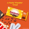 Raisinets, Milk Chocolate Covered California Raisins, Movie Theater Candy Box,