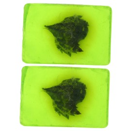 Ipetboom Moisture-rich Wormwood Soaps 2 Pack Face Wash Body Cleansing Soap Green