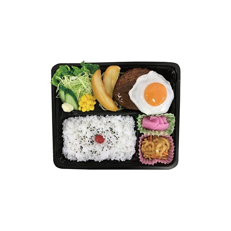 Daikoku Kogyo Bento Container Body & Lid Large B 20-Piece