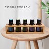Natural Aroma Oil Stand, Natural Bamboo Essential Oil Holder for