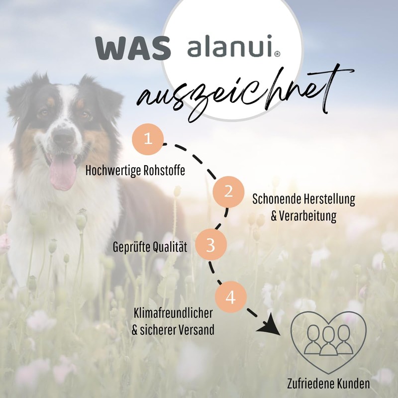 alanui Organic Spirulina for Dogs, 150 g Tub, Approx. 375