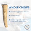 The Proper Hound Antler Dog Chew - Premium Elk Antlers