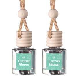 CE Craft Cactus Bloom Car Air Hanging Fragrance Oil Diffuser – Car Air Freshener Diffuser for Essential Oils, Scents Fragrance Aromatherapy Automobile Diffuser, Long Lasting Car Diffuser Bottle 2 Pack