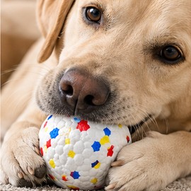 High Elasticity Dog Ball for Chewing & Play – Solid E-TPU Interactive Toy for Small and Large Dogs