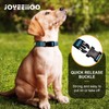 JOYEEIIOO Martingale Dog Collar, Adjustable Nylon Reflective Collar with Buckle