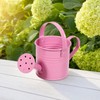 5 Pack Small Metal Watering Cans for Kids, Toy mini
