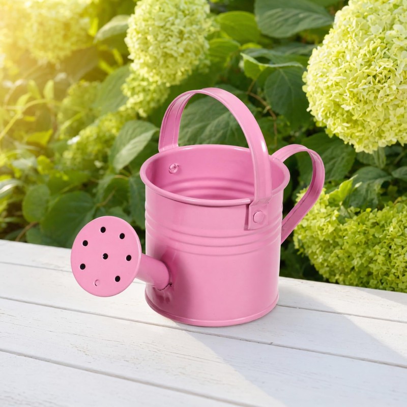5 Pack Small Metal Watering Cans for Kids, Toy mini