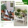 3 Pack Plant Self Watering Globes Top Fill for Indoor