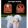 Dog Harness and Leash Set for Walking, Escape Proof Vest